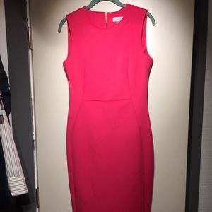 Knee length Calvin Klein